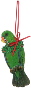 Eclectus Male Ornament