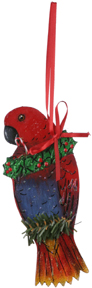 Eclectus Female Ornament