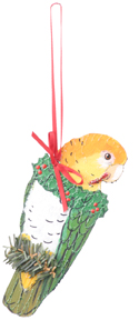 White Headed Caique Ornament