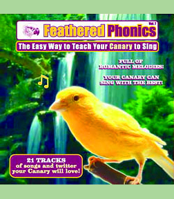114517 Teach Your Canary to Sing V7