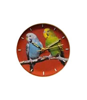 Parakeet Duo Watch - Click Image to Close