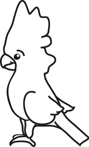 118107 Cockatoo M/U Window Decal