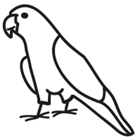 118108 Conure Window Decal - Click Image to Close