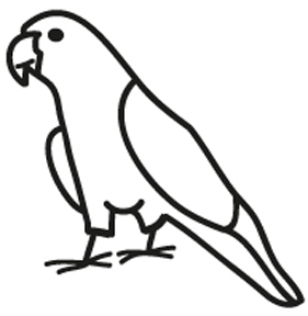 118108 Conure Window Decal