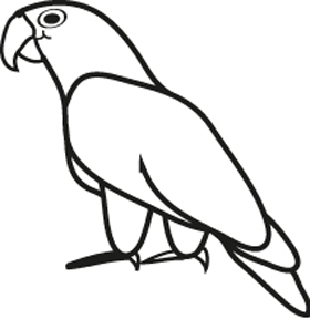 118131 Pionus Window Decal