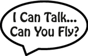 118155 I Can Talk Window Decal