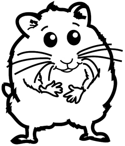 HB895 Hamster - Click Image to Close