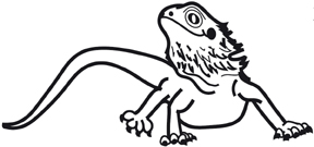 HB891 Bearded Dragon Window Decal