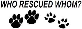 HB899 Who Rescued Whom? Window Decals