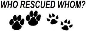 HB899 Who Rescued Whom? Window Decals