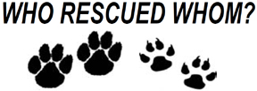 HB899 Who Rescued Whom? Window Decals - Click Image to Close