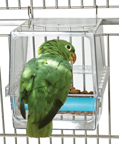 120307 Parrot Cafe Seed Corral - Large - Click Image to Close