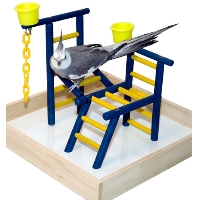 112315 Acrobird Toddler Playland 14 inch