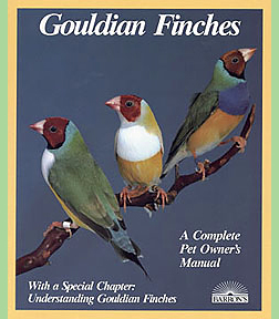 Barron Gouldian Finches 150134