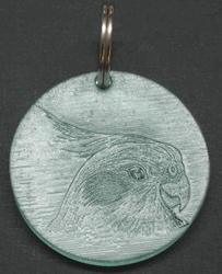 D725 Cockatiel Ingraved Acrylic Key Ring
