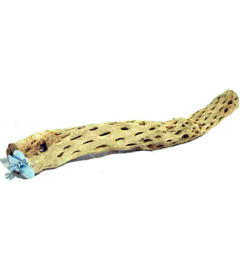 113844 Polly's Cholla Cactus Perch 6 inch - Click Image to Close