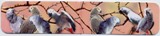 Magnetic African Grey Bookmark - Click Image to Close