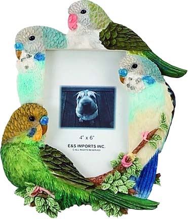 PFB Budgie Picture Frame - Click Image to Close
