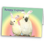 Bunny Express - Click Image to Close