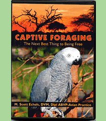 Captive Forging DVD 909085