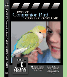 Avian Studios Expert Companion Bird Series Vol. 1