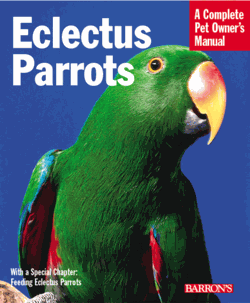 Eclectus Parrots - Click Image to Close