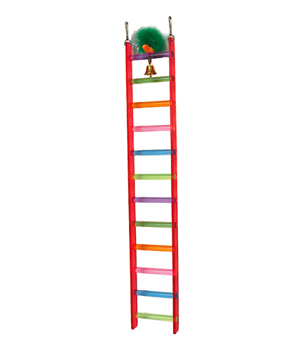Long ladder