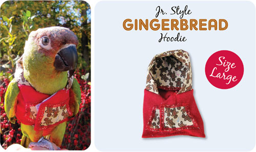 Gingerbread Hoodie Jr. Style Large - Click Image to Close