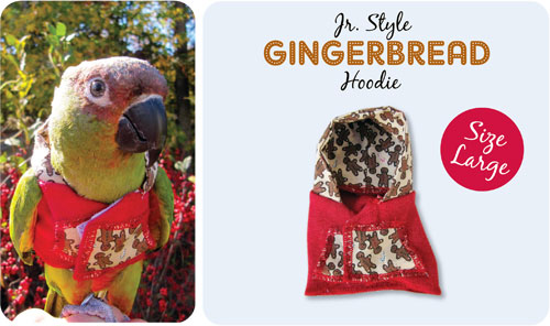 Gingerbread Hoodie Jr. Style Large