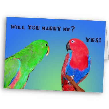 Will You Marry Me? - Click Image to Close