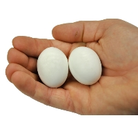 Large Fake Egg (each) - Click Image to Close