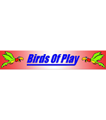 Birds of Play