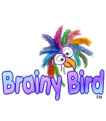 Brainy Bird Toys