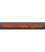 Creative Foraging Systems