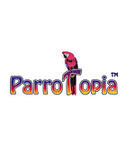 Parrotopia (Sandy Perch)