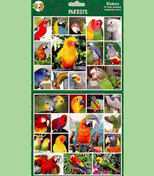 Parrot Stickers M to L Birds