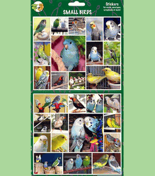 Parrot Stickers S to M Birds