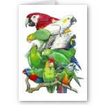 Parrots Greeting Card - Click Image to Close