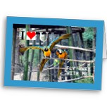 Parrots Valentine