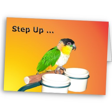 Step Up - Click Image to Close