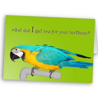 What did I get you.... - Click Image to Close