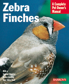 Zebra Finches - Click Image to Close